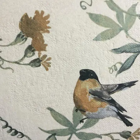 Casa Melva 招待所 巴雷罗斯